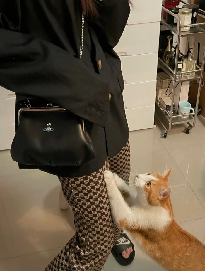 

2022 clip bag shoulder slung women's bag saturn dumpling bag lambskin portable chain bag