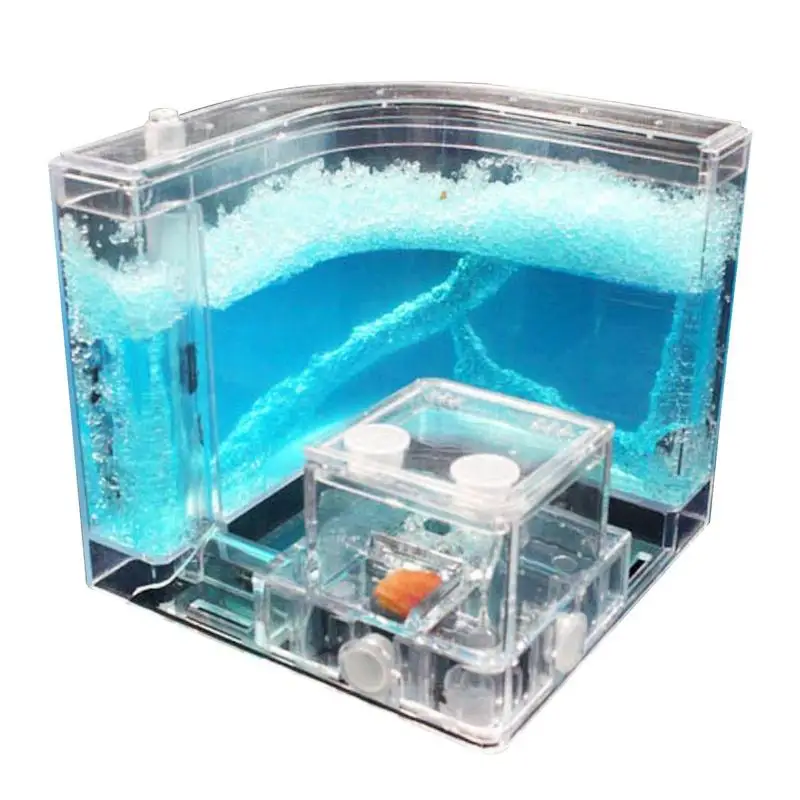 

Ant Home Observation Maze Science Education Accessory Gel Maze Ant Farm Works Workshop Educational Glue Live Habitat Feeding Kid