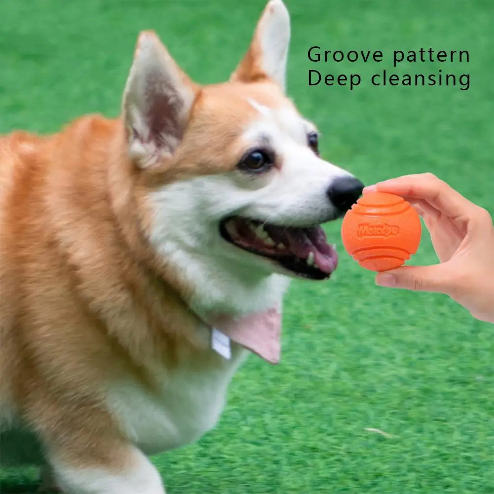 

Метательные шарики для собак, устойчивые к укусам, Интерактивная жевательная игрушка, чистка зубов, товары для домашних животных, аксессуар...