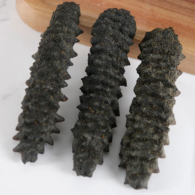

Holothurian,Sea Cucumber 250g (Sea Cucumbers)