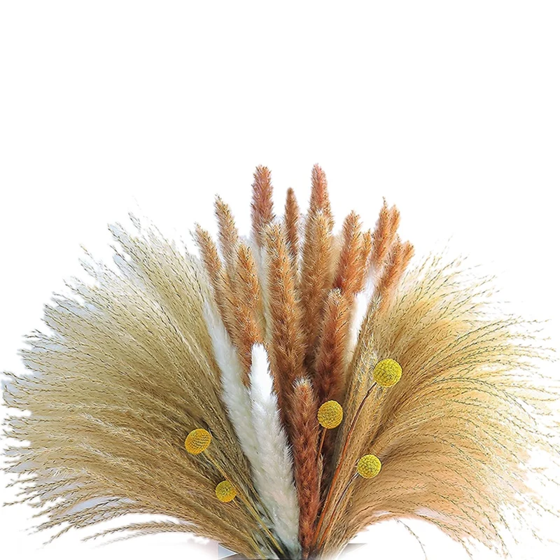 

65 Pcs Dried Pampas Grass Decor, Natural Dried Bouquet For Home Decor, Boho Wedding, Party,Photography (17IN)