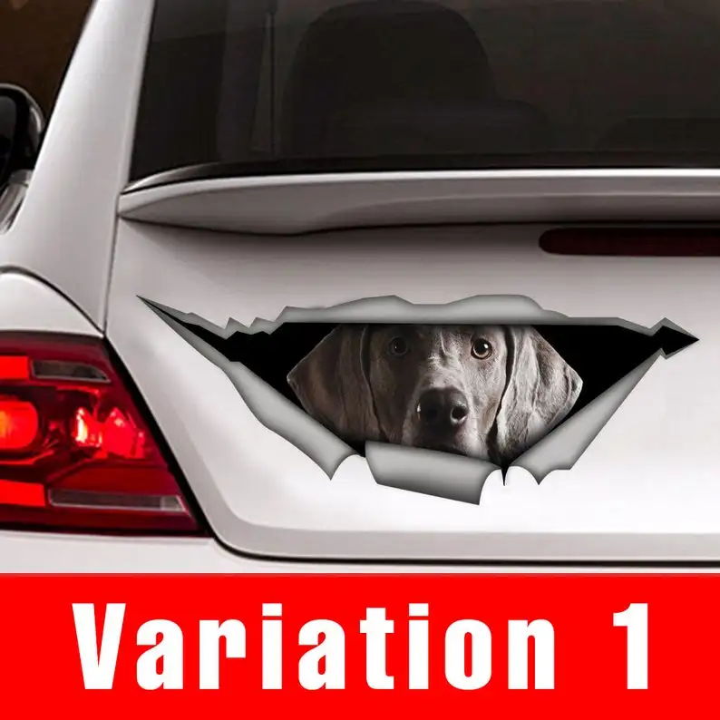 

Weimaraner car decal , pet decal, Vinyl decal, weimaraner sticker, funny decal, dog sticker