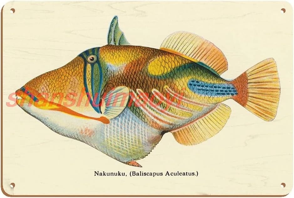 Nakunuku (Baliscapus Aculeatus) — Humuh Weeukunukuapuaa Государственная рыба Гавайи Винтажная гавайская
