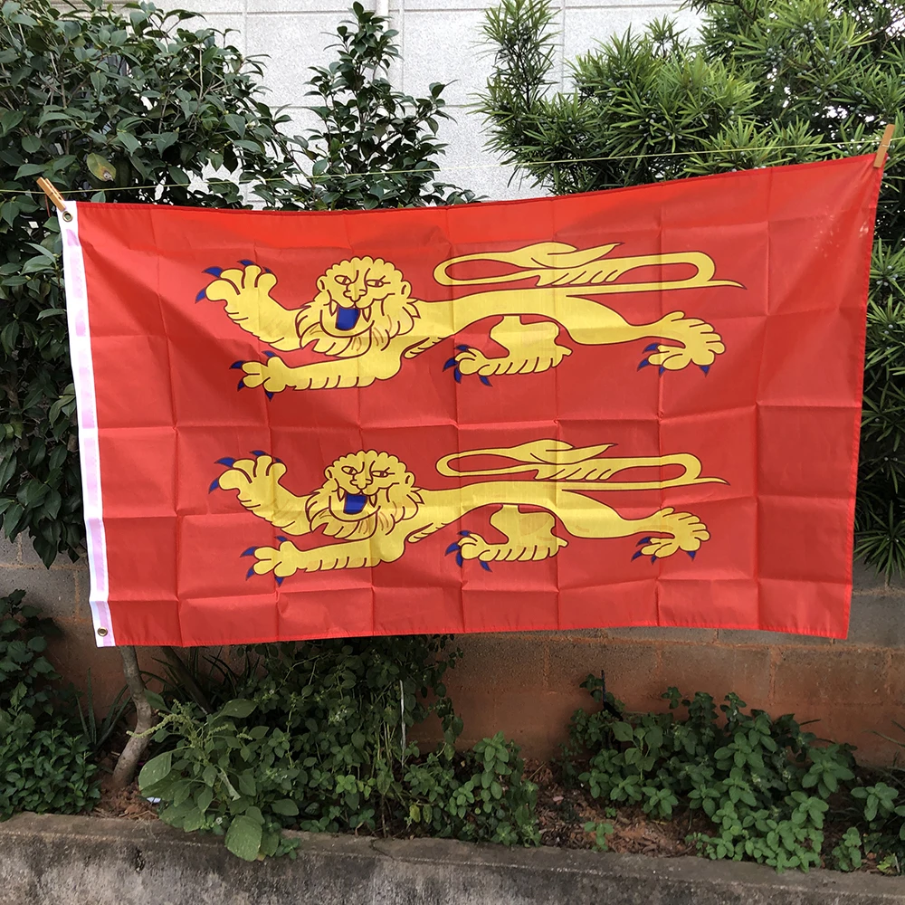 Z-ONE флаг 3*5 футов, французский флаг низкой нормии, 90x150 см, полиэстер, двухсторонний подвесной флаг Нормандии, внутреннее и наружное украшение