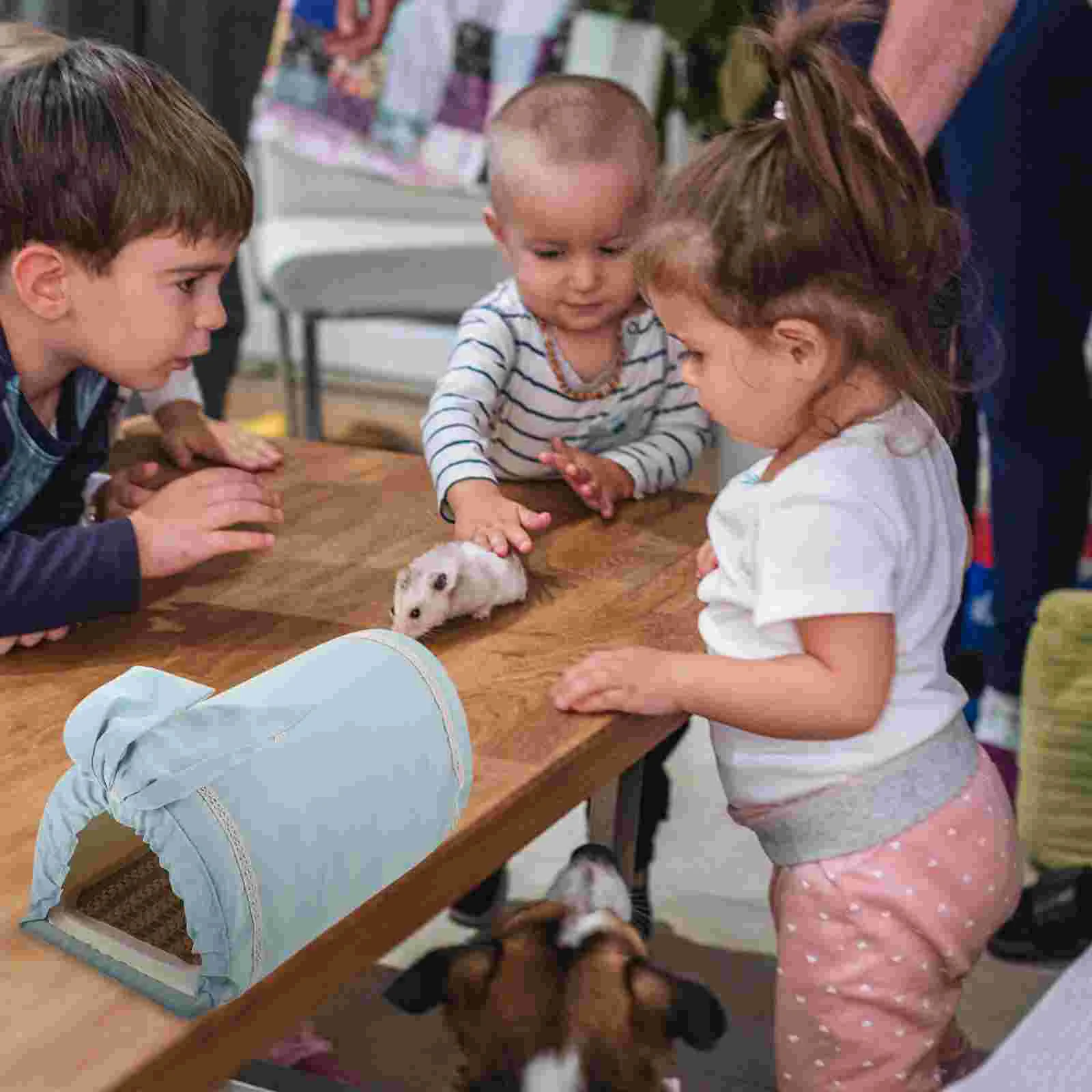 Зимнее гнездо для хомяка кровати туннельная арка Fossa игрушка домашних животных