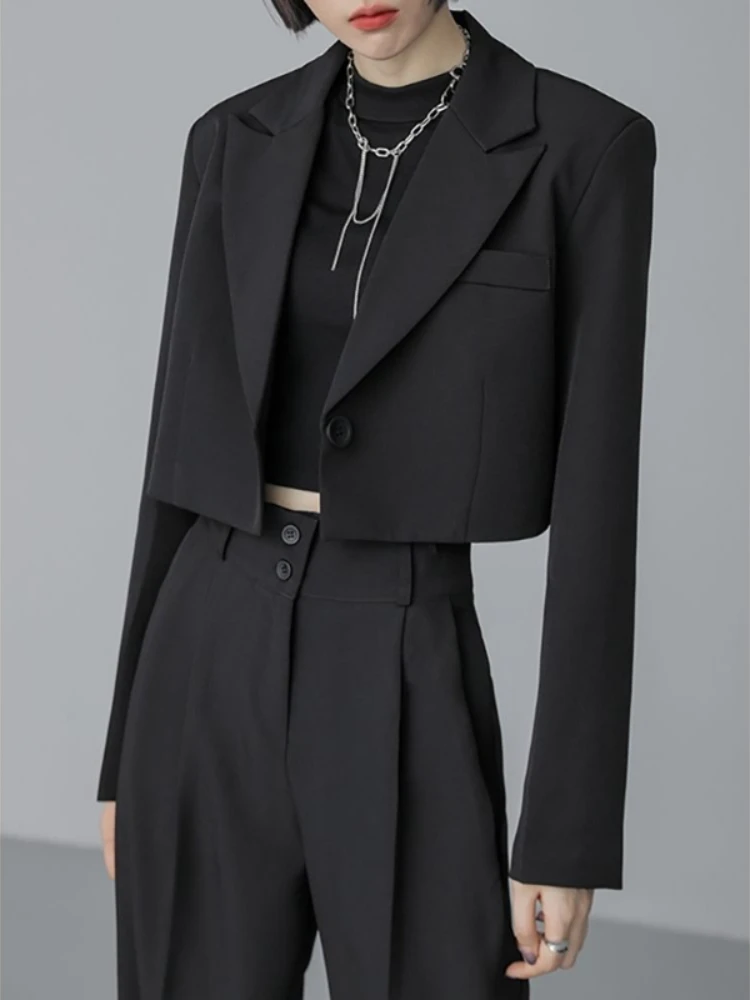 

Office Lady Blazer Suits Vintage Two Piece Set Women Long Sleeve Short Blazer + High Waist Wide Leg Long Pants 2 Piece Outfits