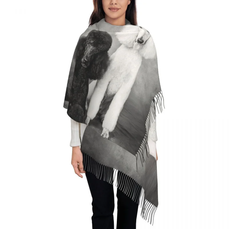 

Правоохранительные сотрудники легко выдают заказ; Врачи AC, чьи мужья поощряют