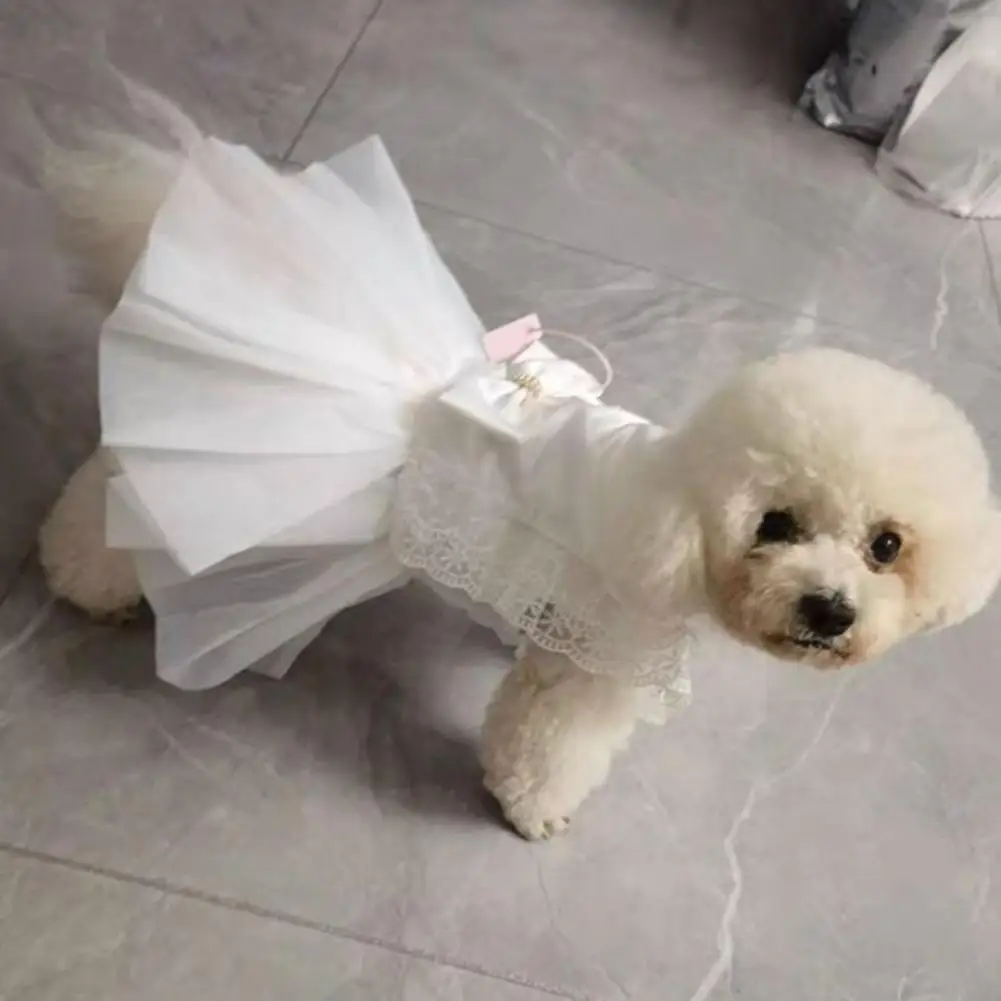 

Fashion Pet Dress Perfect Match Pet Costume Elegant Fluffy Hem Bow Design Pet Costume Solid Color