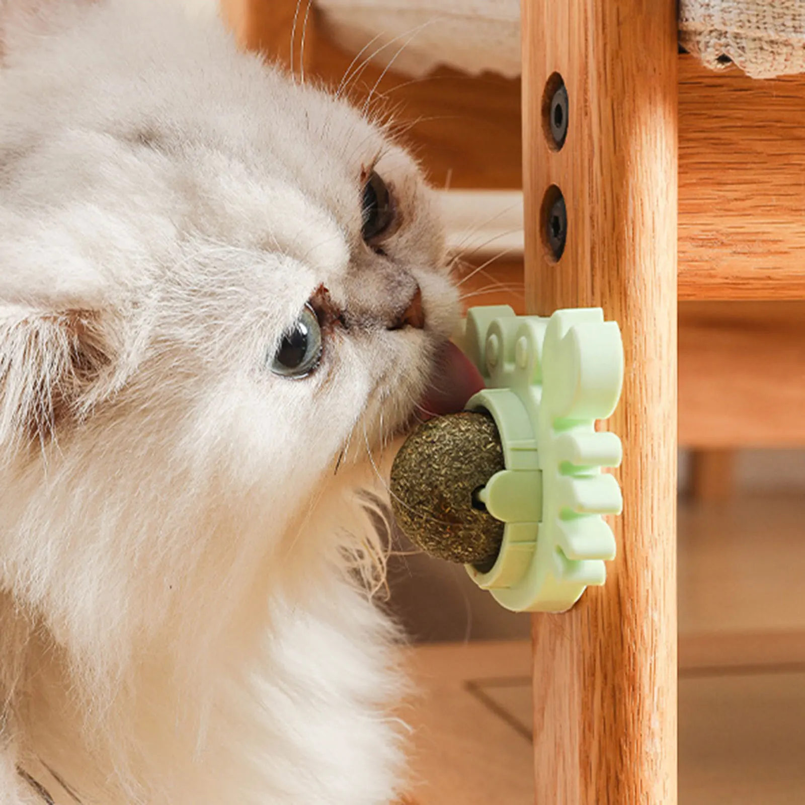 

1pc Healthy Cat Catnip Toys Ball Natural Catnip Cat Wall Stick-on Ball Toy Nutrition Energy Ball Cat Supplies Cat Toy