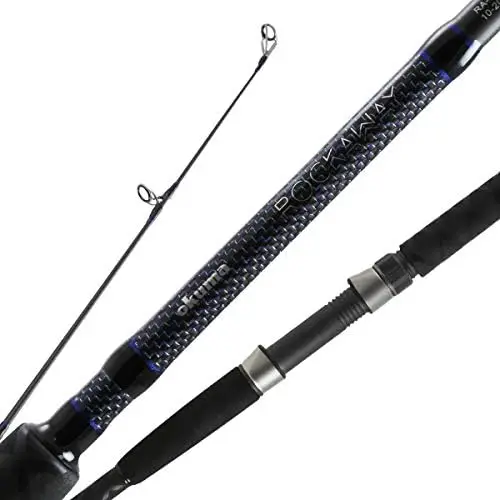 

Light Weight Carbon Saltwater Surf Rods