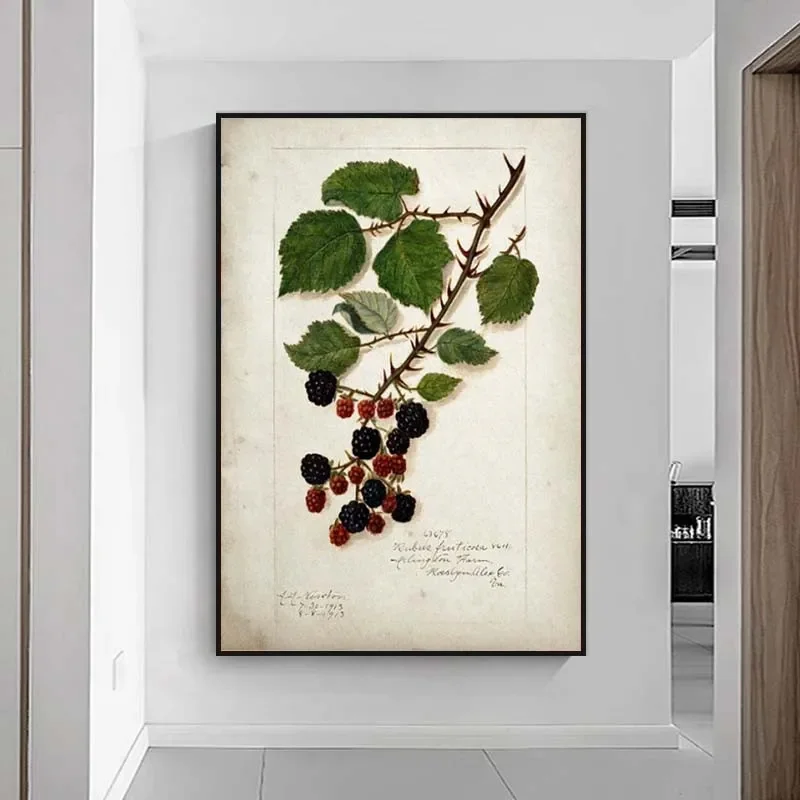 Настенная картина с фруктами ВИНТАЖНЫЙ ПЛАКАТ печать на кухонном холсте груша