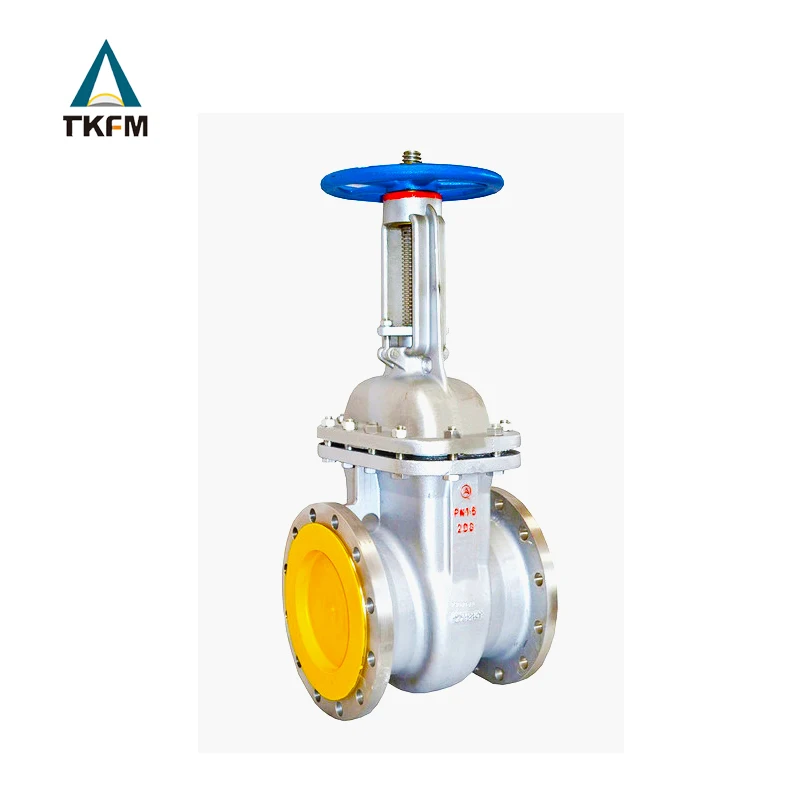 TKFM высокотемпературный пар давления 8 6-дюймовый Класс 150 подъемный стволовой