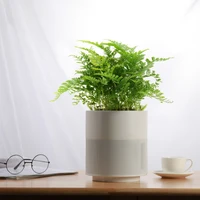 high quality smart home garden plantersmart home garden planter self watering smart mini plant pot
