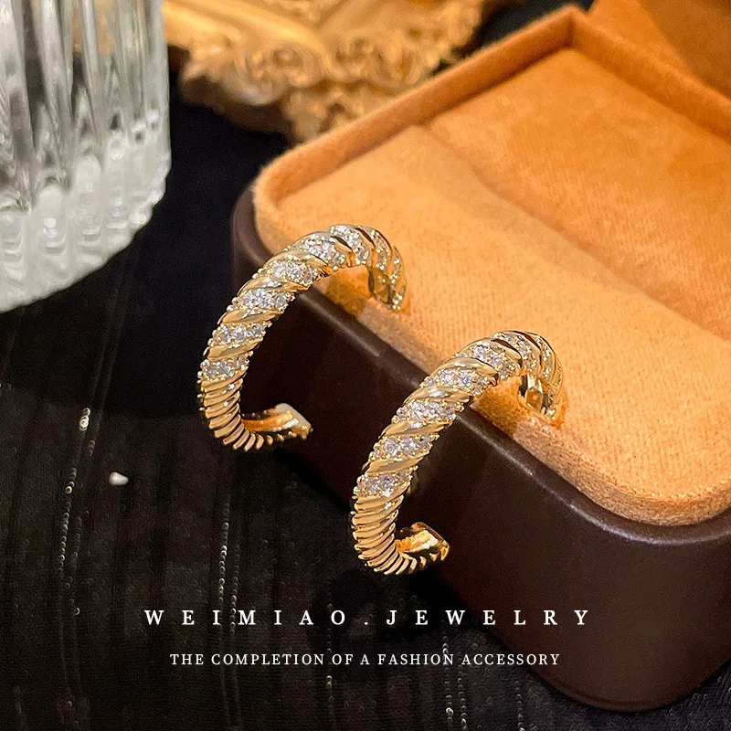 

Silver Needle Light Extravagant Circle Zircon C-shaped Earrings Minority Design High Sense Exaggerated Femininity Earrings