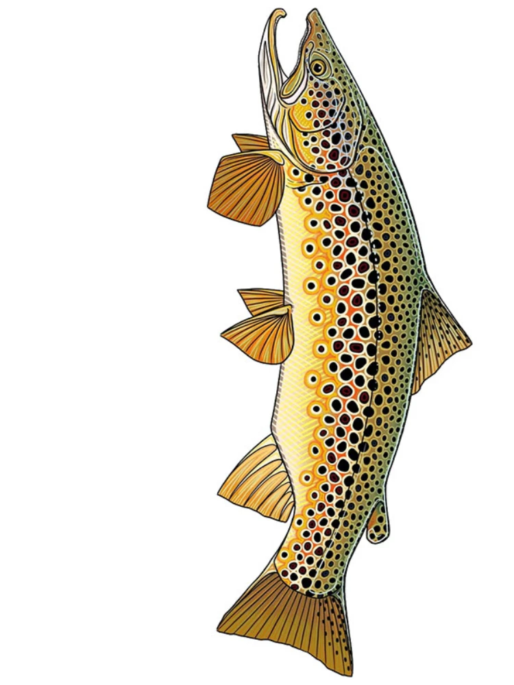 

FUYOOHI игровые наклейки дикая коричневая форель наклейка лодка каяк автомобильный бампер наклейки форель рыбалка автомобиль наклейка рыбалка искусство автомобильный Стайлинг