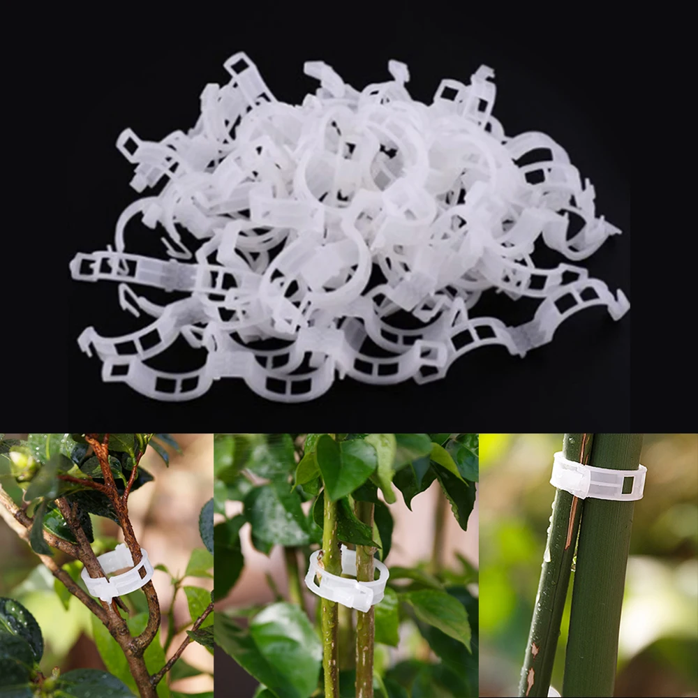 

Garden Plant Fixing Clips Flowers Tied Bundle Branch Clip Clamping Tools White 50PCS