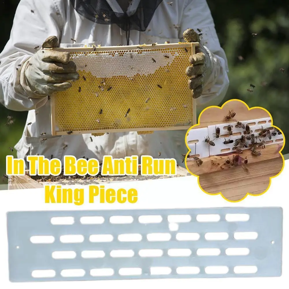 

20Pcs Plastic Beehive Door Entrance Gate Anti-Escape Bee Queen Reducer Anti Escape Board Sheet Pieces for Outdoor Beekeeper H7D0