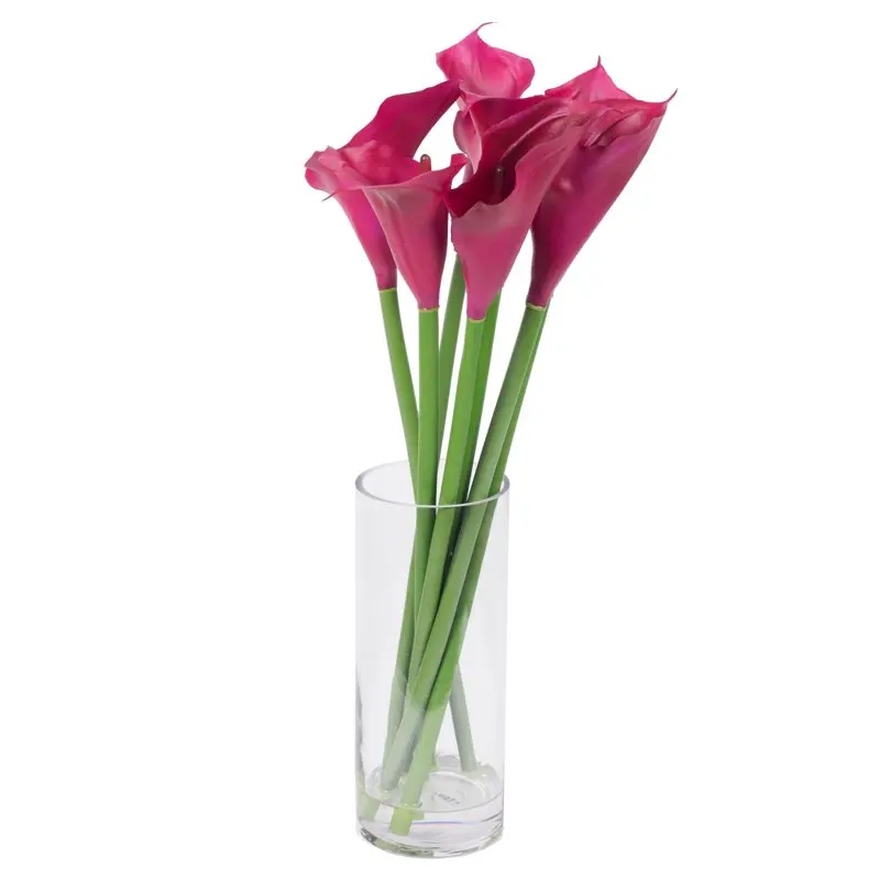 

Artificial 24" Purple Calla Lillies in Glass Vase.