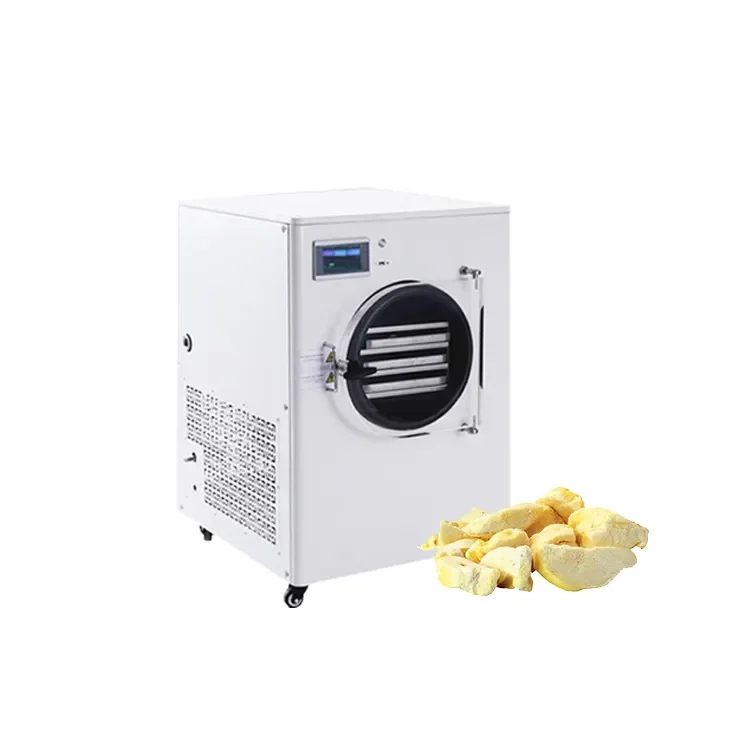 

Hot Selling Vacuum Freeze Dryer with Low Price
