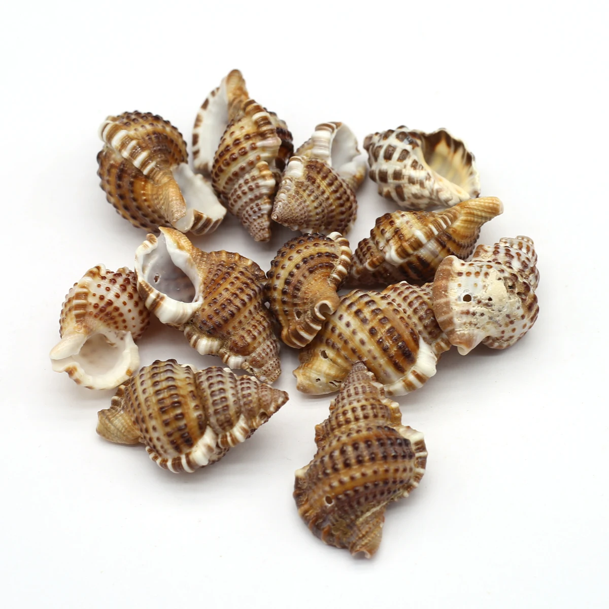 

Natural Shell Beads No Hole Crocodile Skin Snail Bead Ornaments Charms for Jewelry Making Women Gift Artwork DIY
