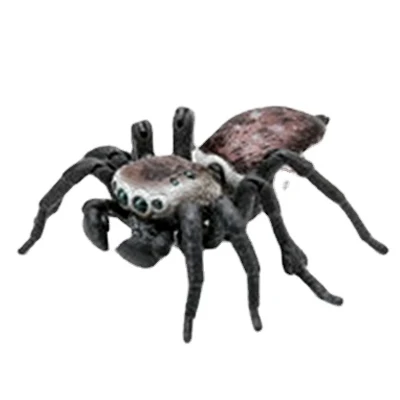Бандай Настоящая книга-биография о симуляции насекомых Gashapon с игрушкой-фигуркой действующего ядовитого прыгающего паука Павлинчика.