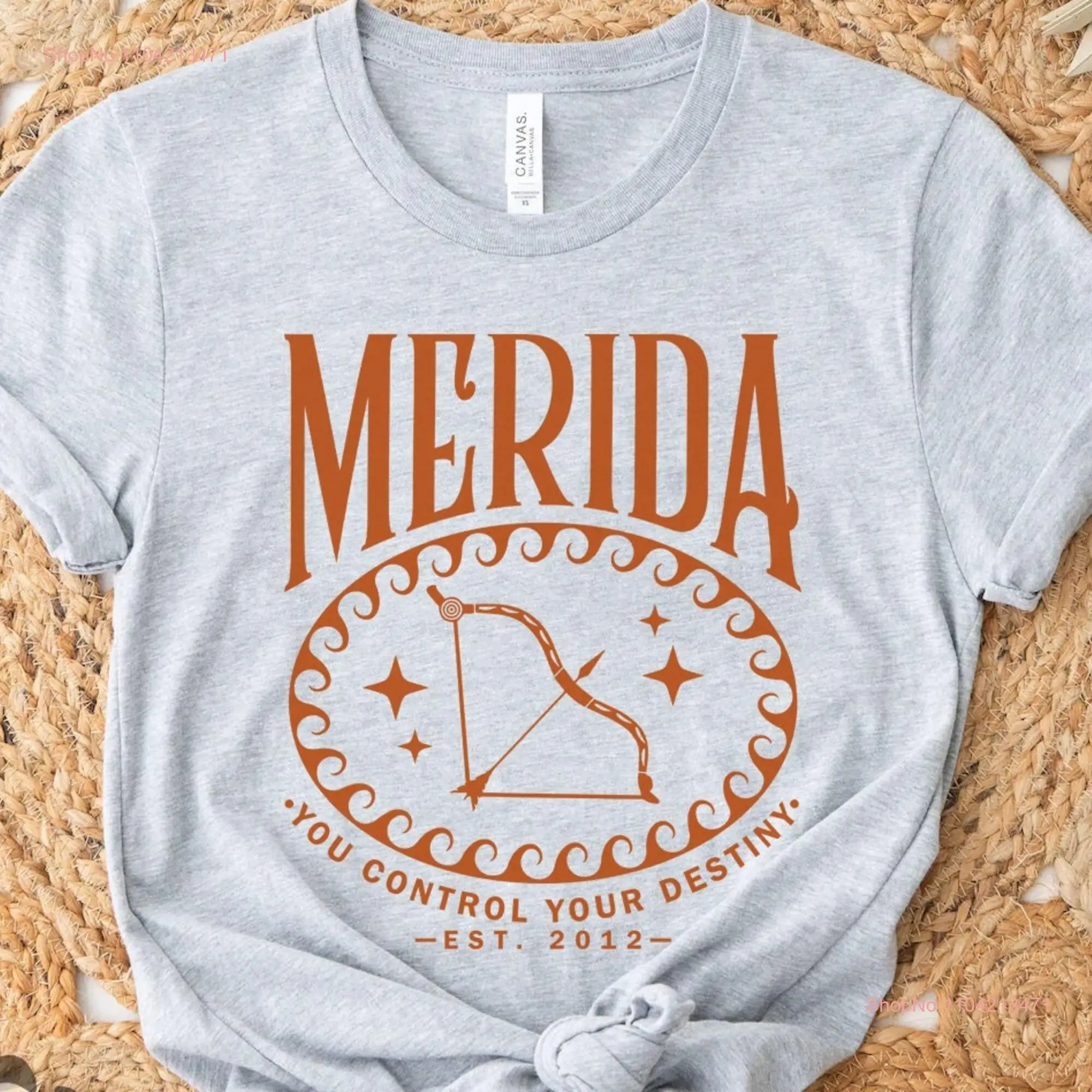 Brave Merida Princess Comfort Colors T Shirt WDW Magic Kingdom Chase The Wind And Touch Sky long or short sleeves