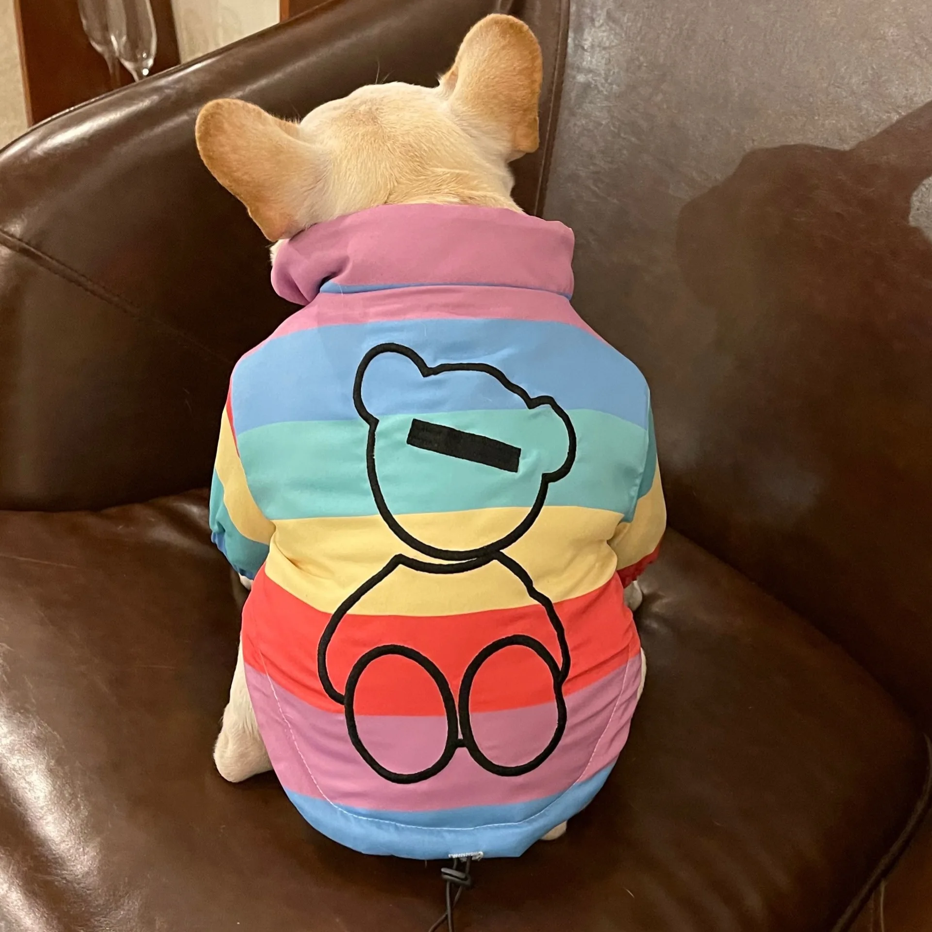 

Winter Pet Dog Thick Clothes for Small Dogs Clothing French Bulldog Warm Rainbow Cotton Jacket for Yorkies Outfit Pug Costume