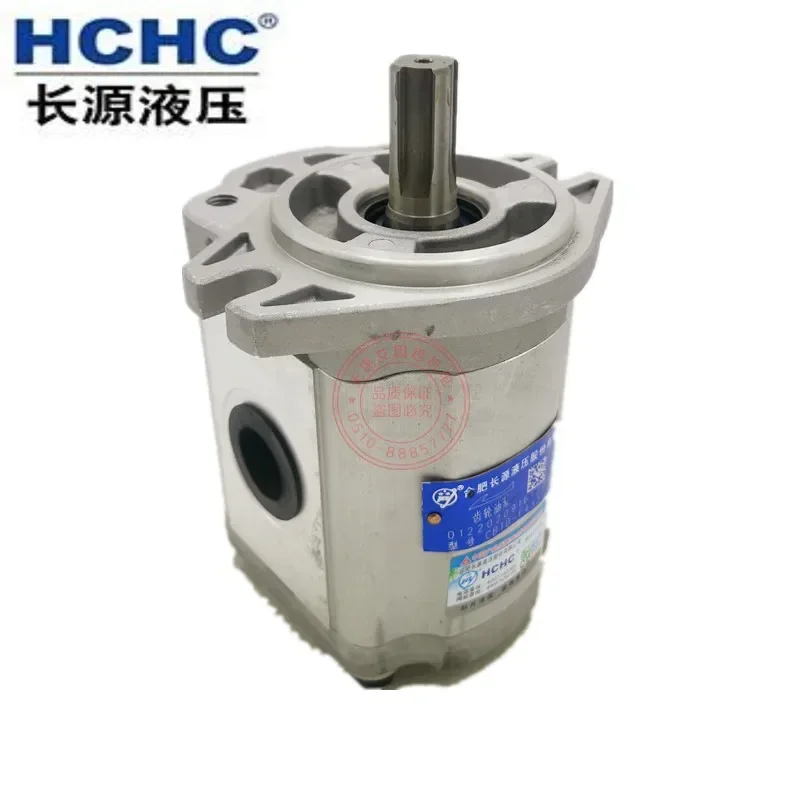 Фото Электрический шестеренчатый насос из чугуна Hefei Changyuan CBT-F410/F416/F420/F425/F426.5/F432 №4