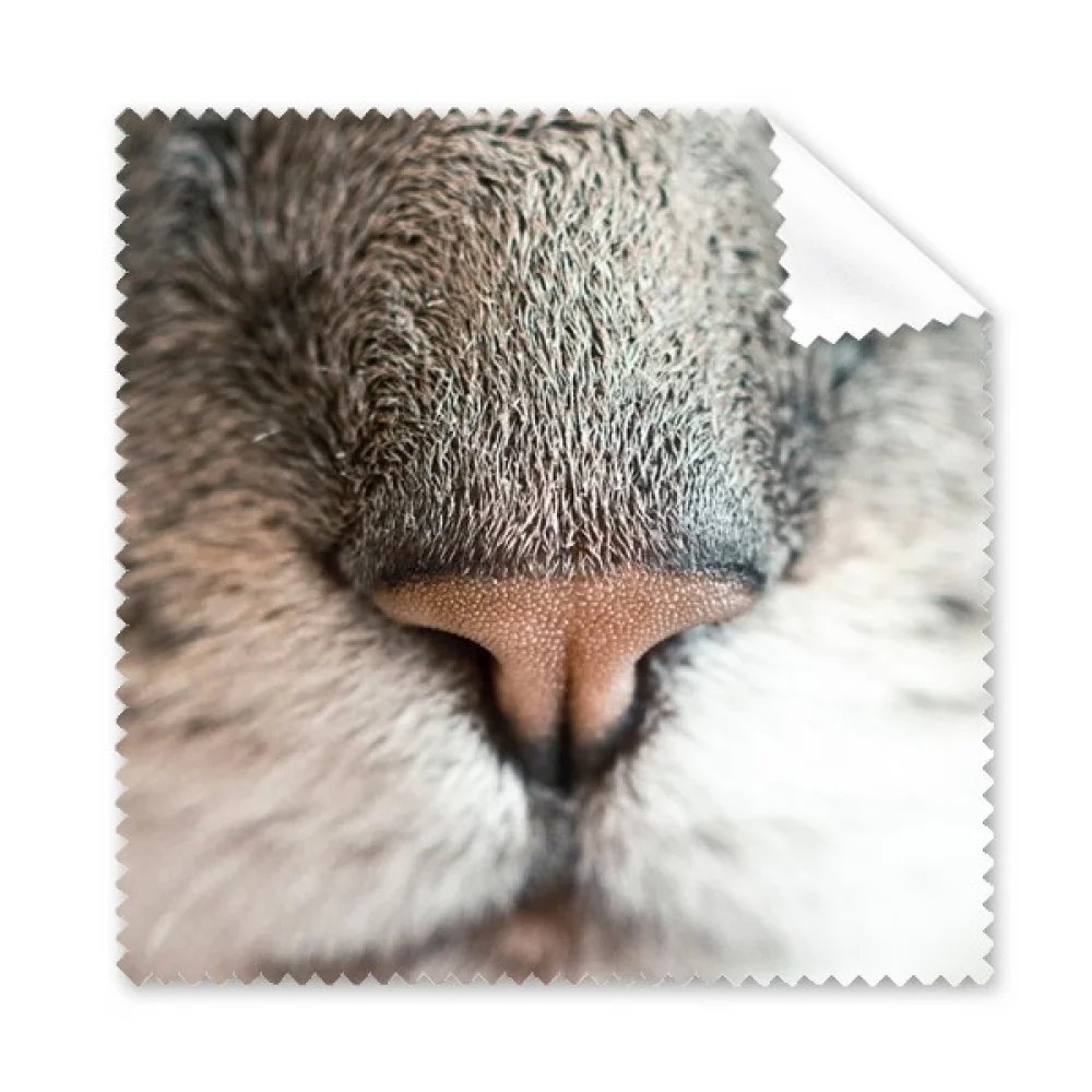 

Animal Local Photograph Picture Cleaning Cloth Phone Screen Glasses Cleaner 5pcs