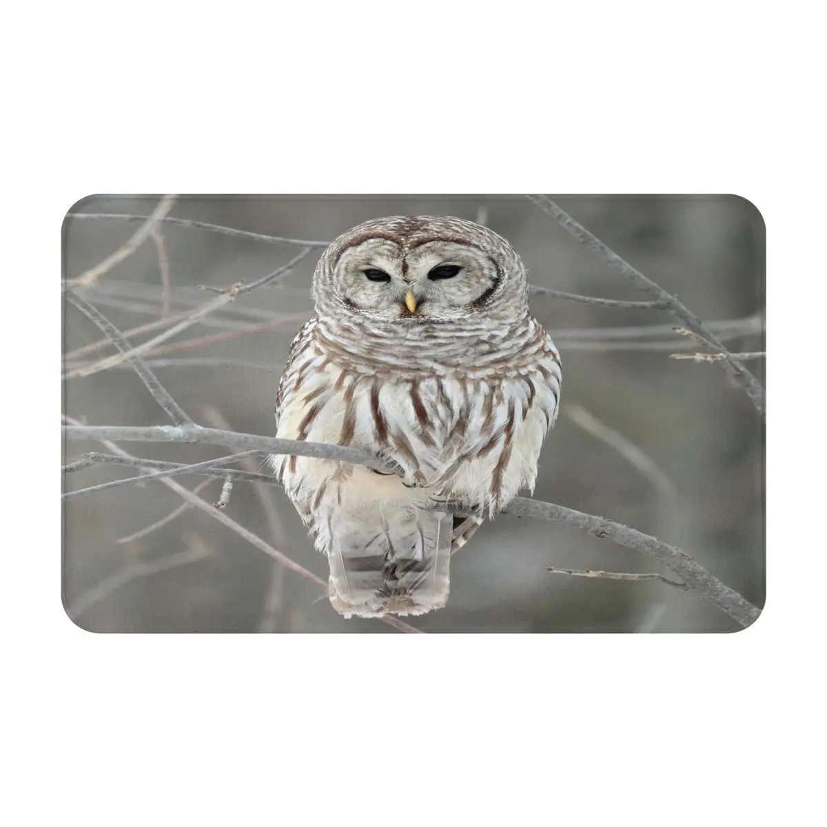 Коврик для ванной с совой ковер дверной коврик скандинавский гостиной дивана