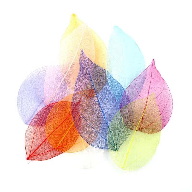 

36pcs/Bag Multicolor Artificial Skeleton Leaf Dry Leaves Pressed Flower Scrapbooking Decoration DIY Material Wedding Party Decor