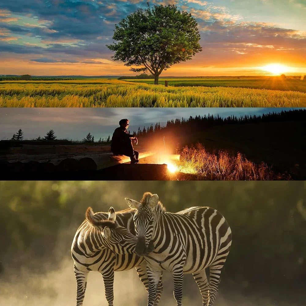 Ручной телеобъектив Lightdow 500 мм F8.0 для Canon Nikon D600 D500 D700 D750 D810 D850 D3100 D3200 D3300 D3400 D3500 D5000