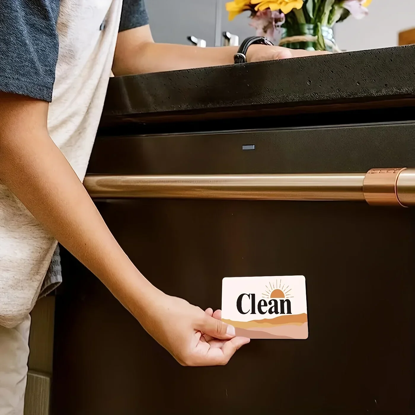 1 Набор магнит для мытья в посудомоечной машине