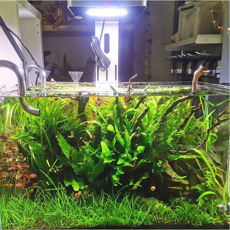 Осветительная лампа для аквариума