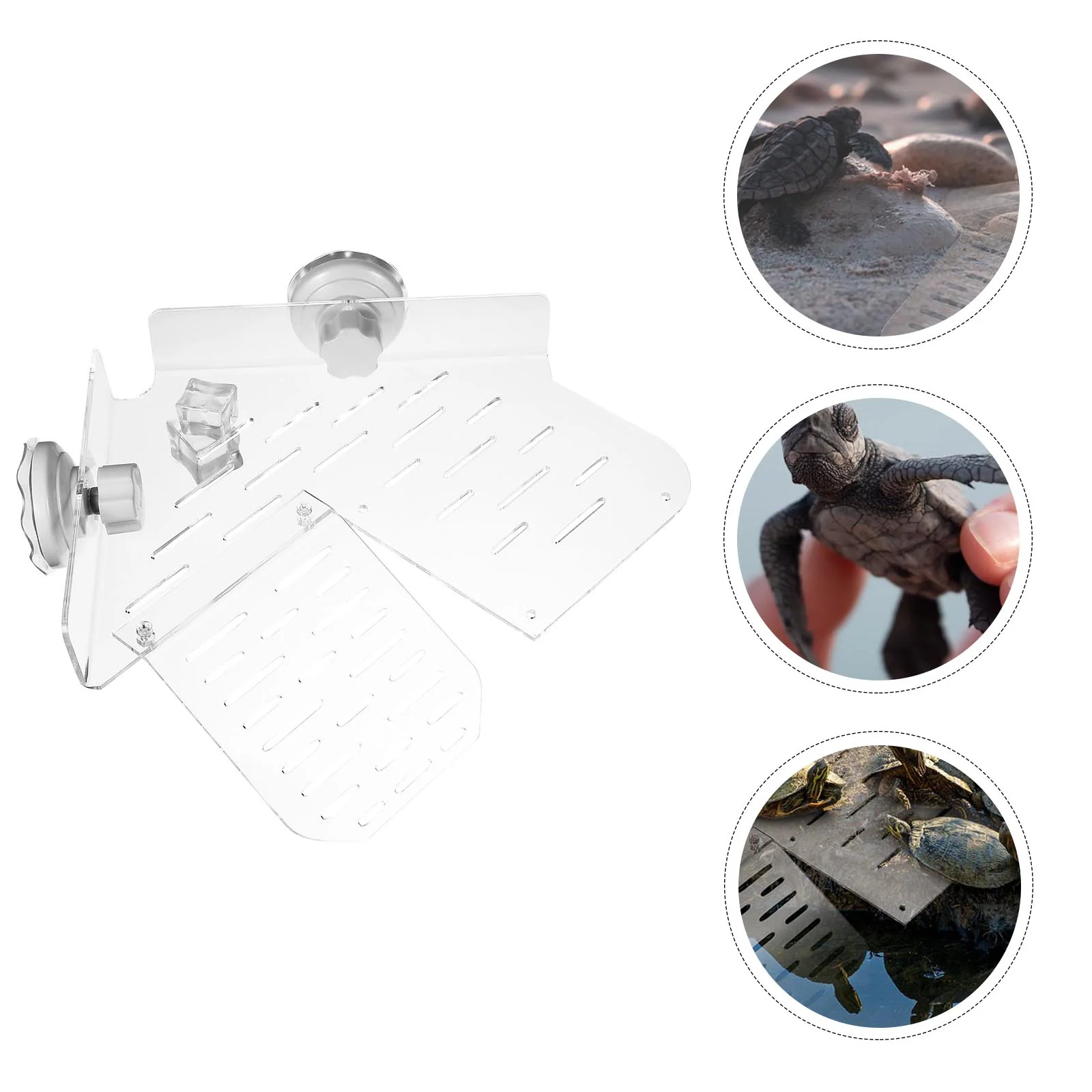 

Turtle Platform Terrace Basking Resting Dock Breeding Tank Tortoise Turtles Accessories Habitat Aquatic Sunbed Area Aquarium