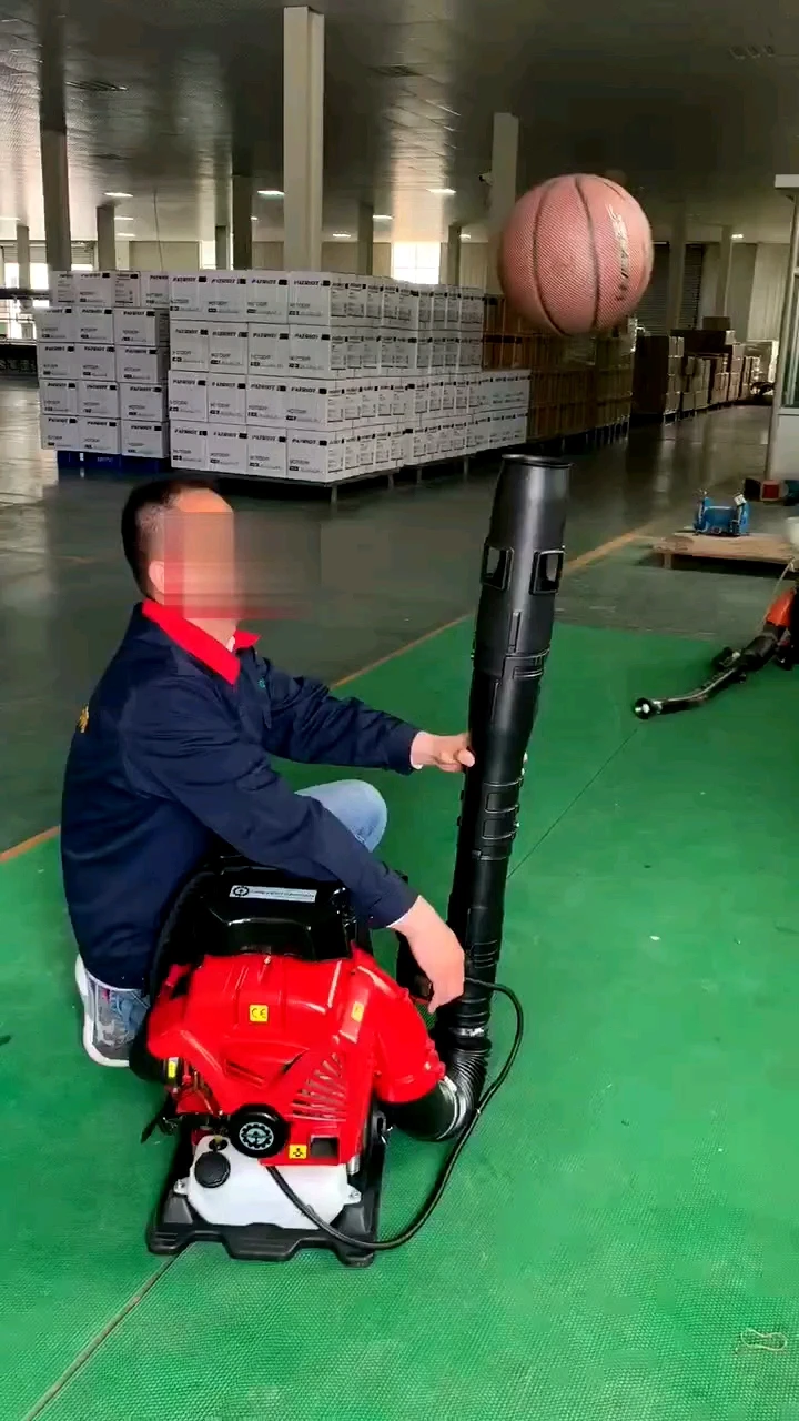 

EB900PF READY TO SHIP Professional Leaf Blower High Pressure Snow Blower Knapsack Powerful Air leaves Blower