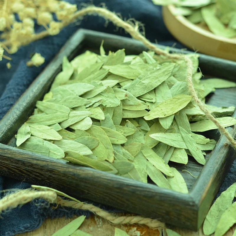 

Folium Sennae Senna Leaf Fan Xie Ye Cassia Angustifolia Delile Folia Sennae