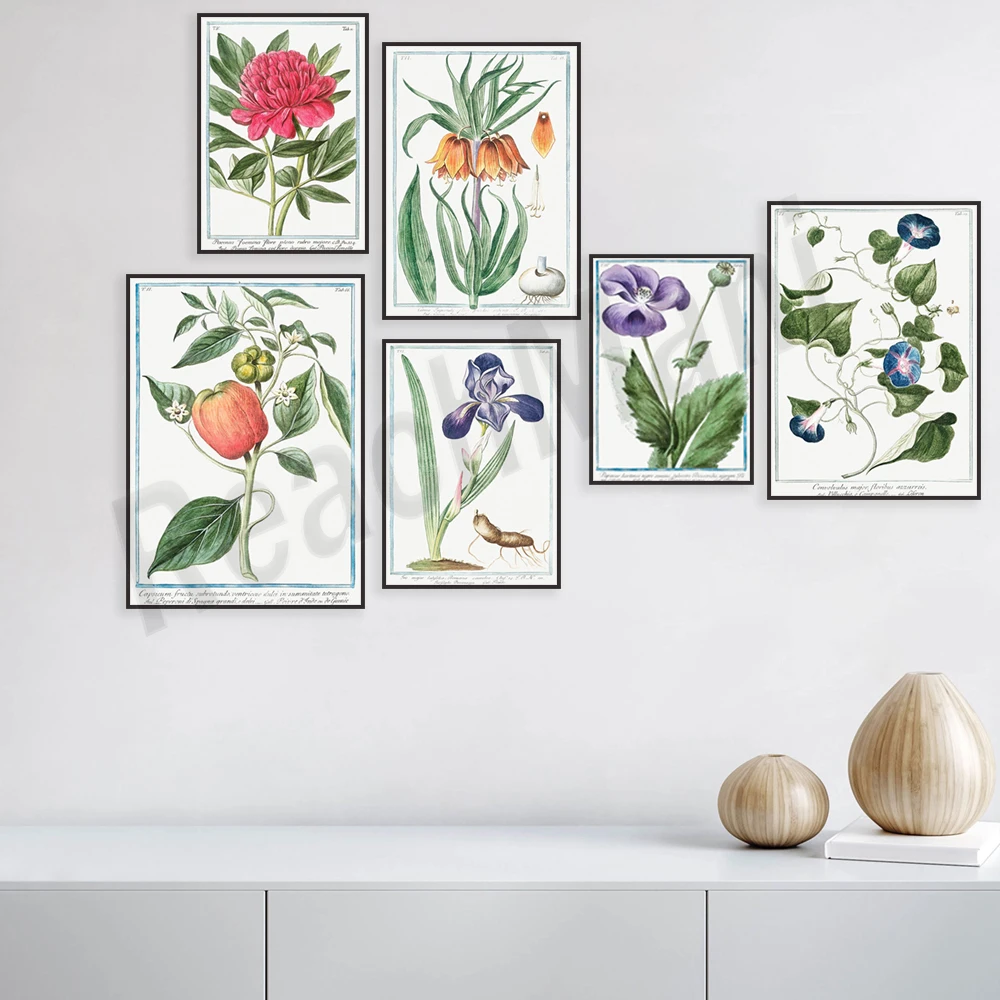 Римский сад Постер Джорджио бонелли лилии и нарцилы гвоздики биндавские