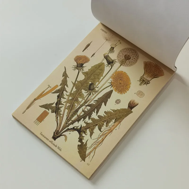 

Vintage Time Letter Mushroom Writable Material Paper Book Decor Junk Journal Planner Scrapbooking DIY Craft Background Paper