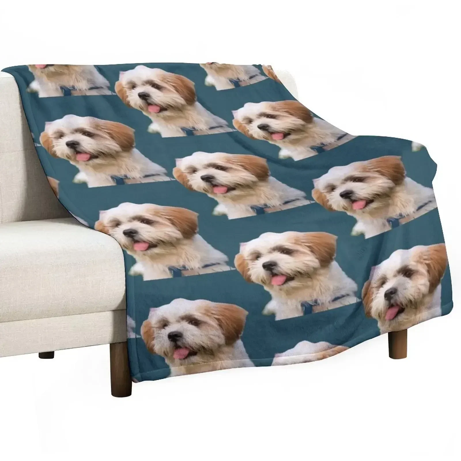 Шишон Миньон лучший с шишоном любители собак пледом