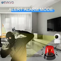 Ip-Камера EVKVO#3