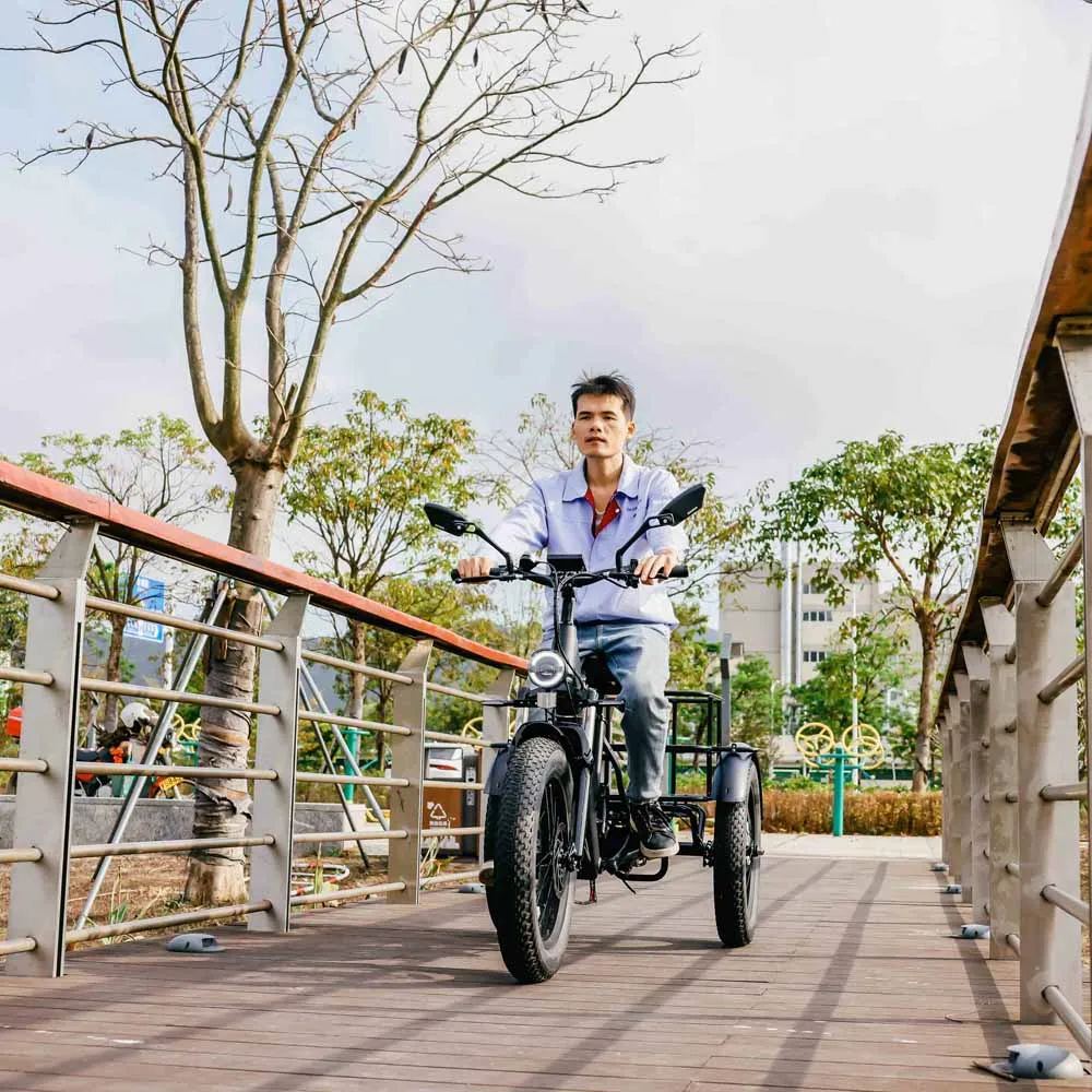 Популярный 3-колесный электрический велосипед 250 Вт трехколесный с толстыми
