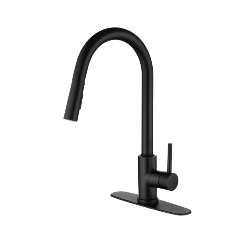 

Ingle Handle High Arc Pull Out Kitchen Faucet\ Single Level Stainless Steel Kitchen Sink Faucets with Pull Down