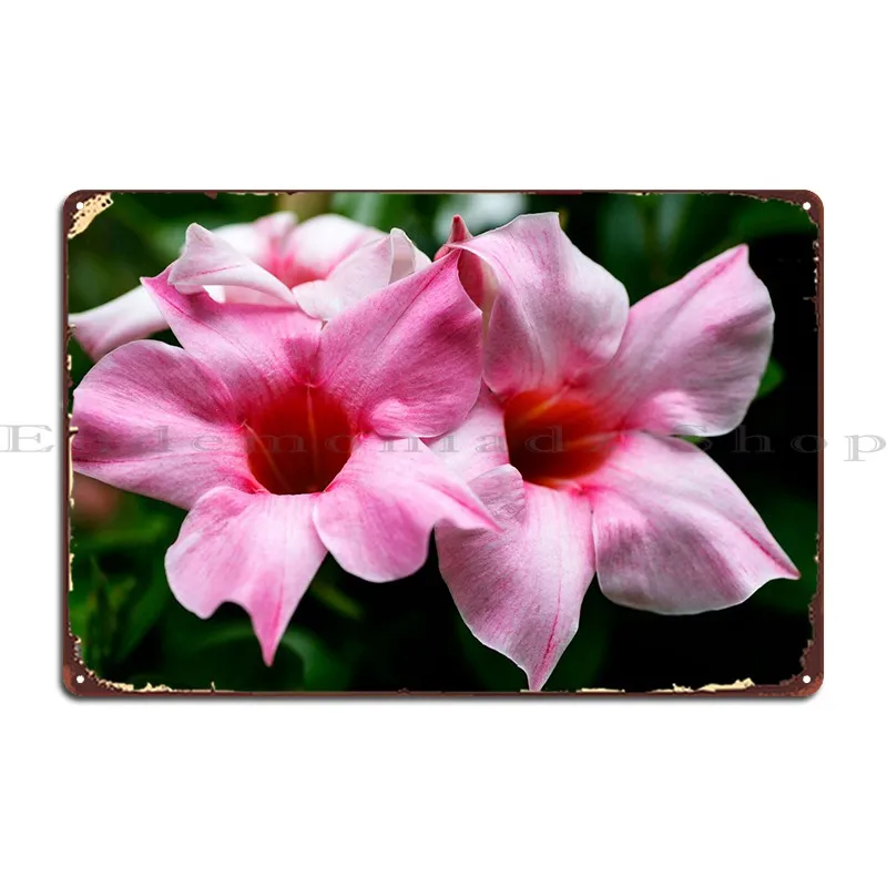 

Mandevilla металлический плакат с розовым цветком, Винтажный дизайн для паба, гостиной, оловянный плакат