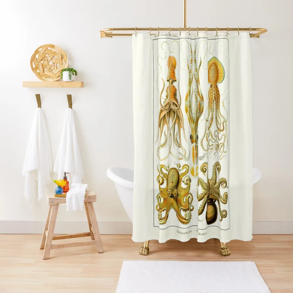 Пластина 54. Гамочония старая группа кальмаров и осьминогов. Занавеска для душа