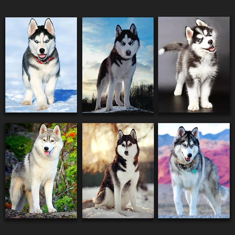 

Poster Canvas Full Square/ Painting ""Husky dog landscape animal" 5D Home Decor Gift Bedroom Living Room Decorative Painting