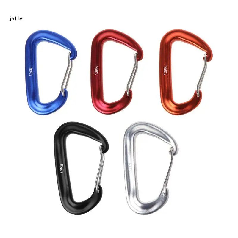 

448C Large D-shape Aluminum Alloy Carabiner Quick-release Spring Hook Camping Buckle Hook Outdoor Keychain Carabiner Clip