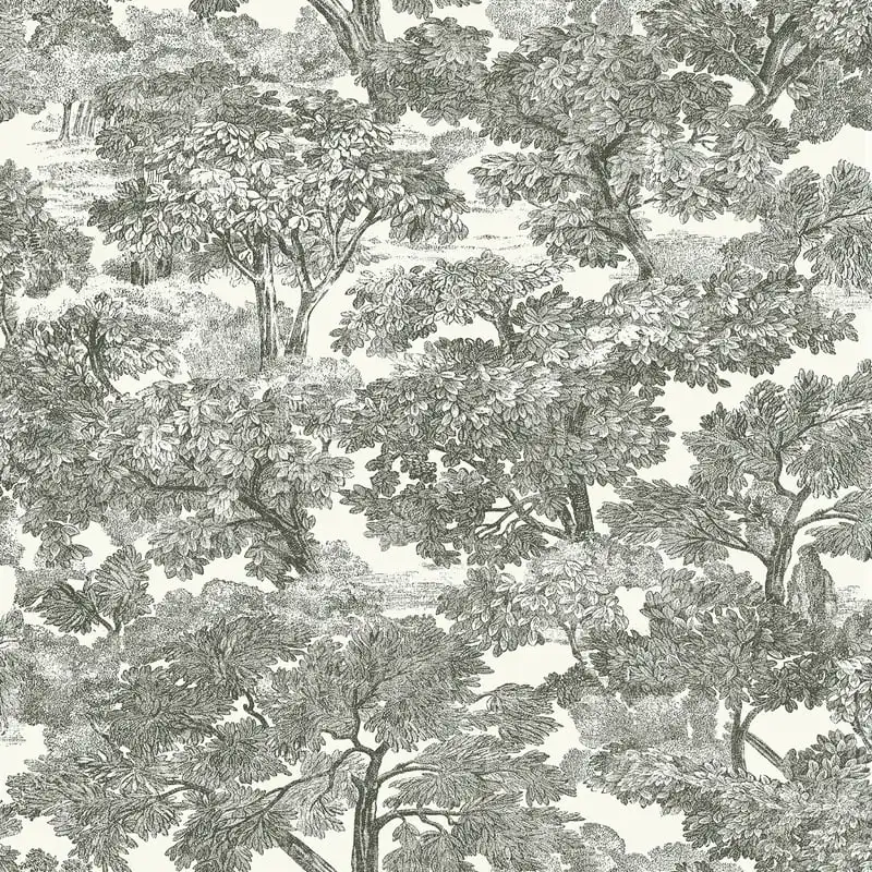 

Walls Decor Spinney Black Toile Wallpaper