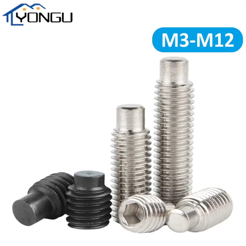 

M3-M12 304SS/12.9 Grade Hex Hexagon Socket Convex Set Screw