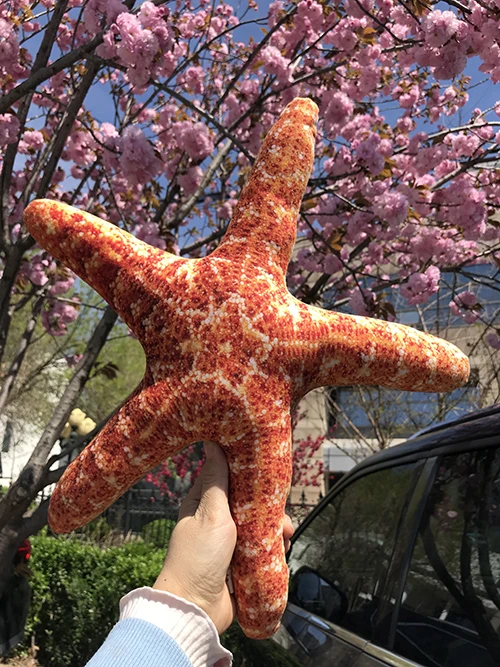 

cute rare real life simulation starfish sea animal plush toy doll children birthday gift high quality